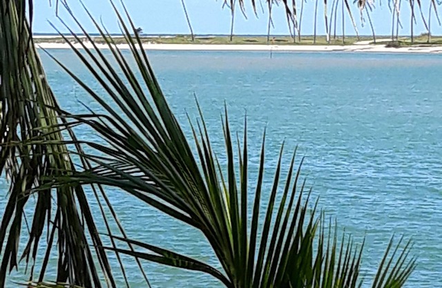 ¡Escápese al paraíso en el río Jacuipe!