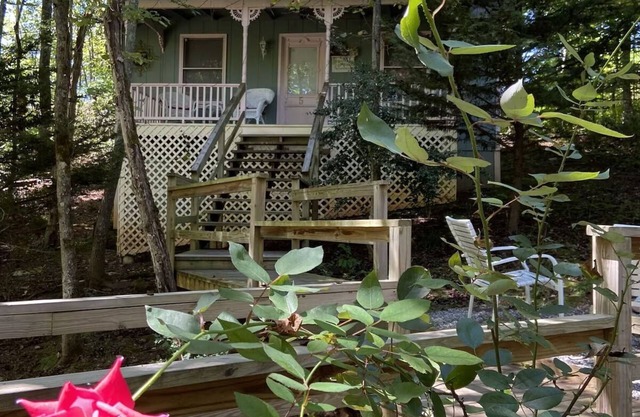 Escape to Pet-Friendly Studio Cabin near Helen, Blue Ridge & Appalachian Trail