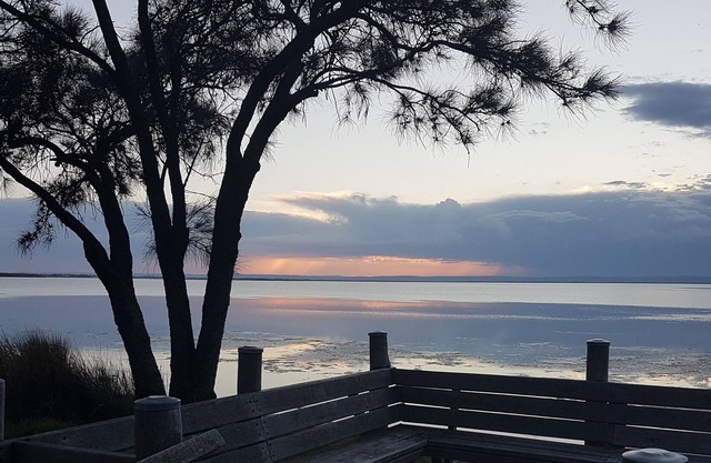 Estuario frente al mar - Vista desde arriba desde el balcón!
