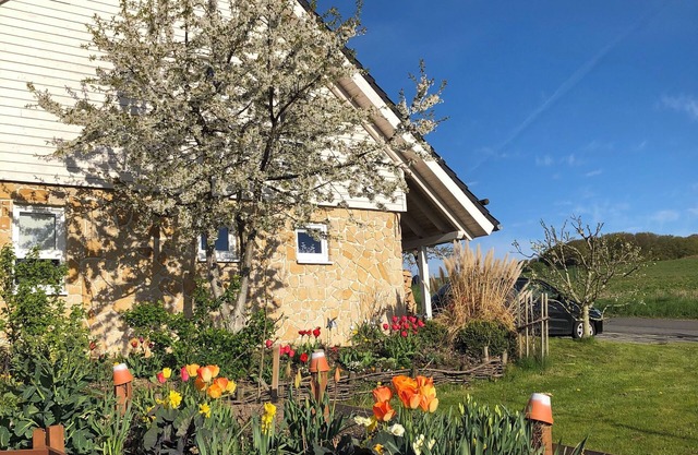 Nuevo y exclusivo de casa de vacaciones con un montón de espacio en Bad Arolsen / Twistesee