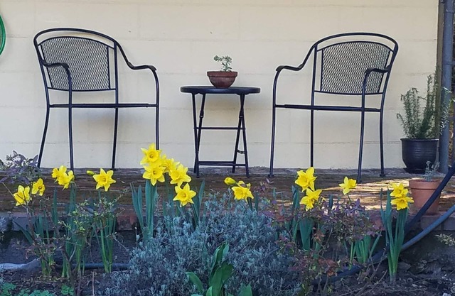 Suite Ejecutiva en la cima de Queen Anne Hill