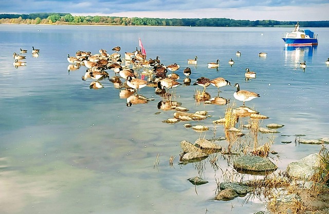 Experience a wonderful time in the blue sun of Devin.