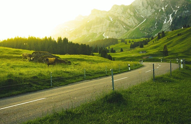 Explore Silicon Valley from our room