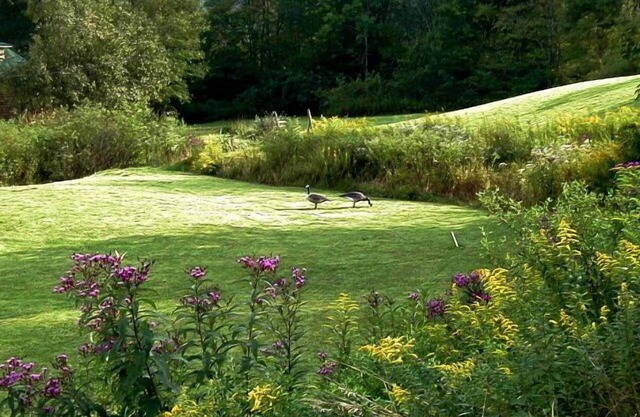 Log Cabin wOptional Hot Spa-Cabana! PRIVACIDAD, WiFi, Cama tamaño Queen, Vistas, Fire-bowl