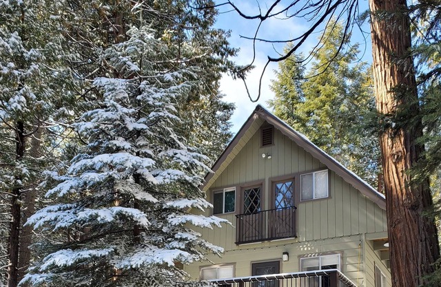 Family Friendly Cabin mins from Pinecrest & Dodge Ridge