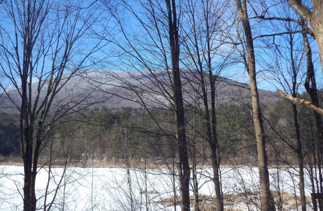 Farm Barn Adjacent Wildlife Preserve w/Fantastic Views