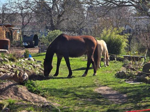 Ferienwohnung, Monteur, Remote Wohn