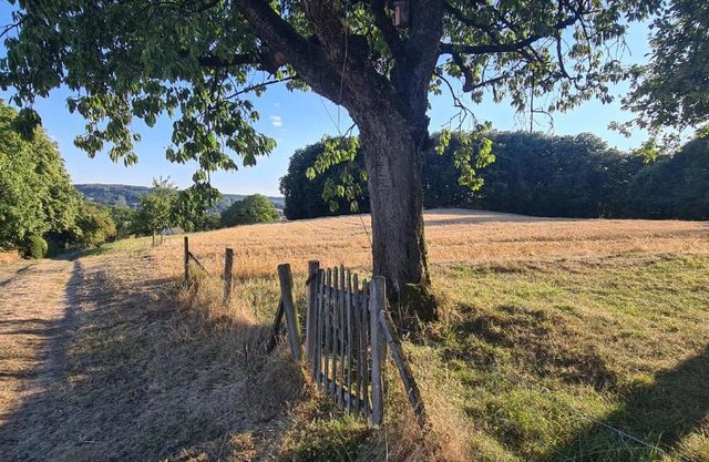 Ferienwohnung "Tecklenburger Augenblicke"