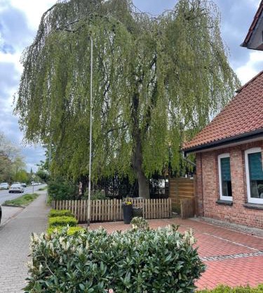 FeWo Oldaus Nestchen