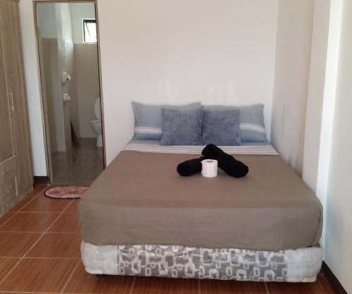 Filoli surf homestay