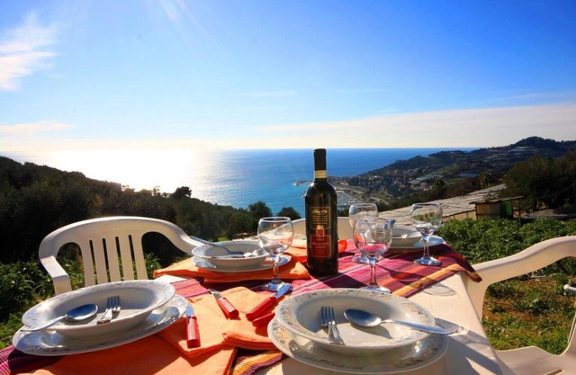 Flat with sea view and garden | V31