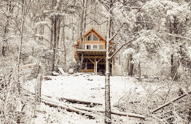 Flowertown Charm Off-Grid Treehouse w/ Highland Cows