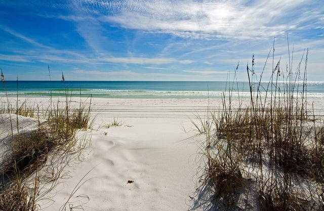 Follow The Sun - 1 Br Apts