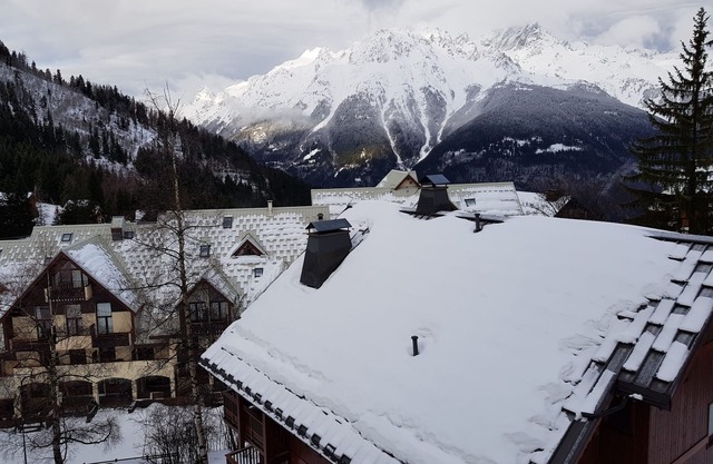 Se alquila apartamento de lujo de 6 a 8 p en chalet en las montañas-Oz en Oisans-Franc