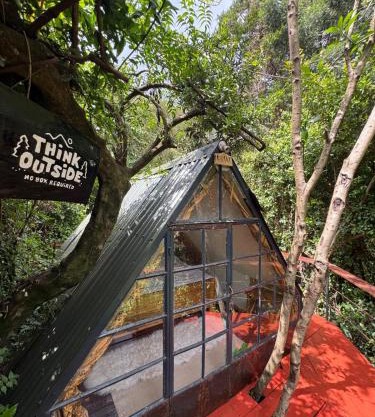 Forest small house-Lenana