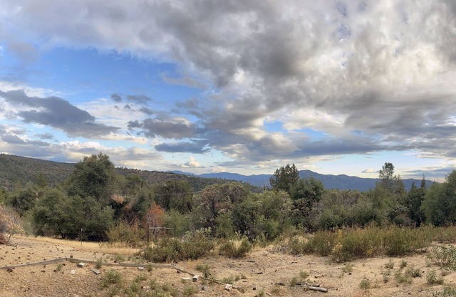 Freshly Renovated Cabin at a Flower Farm