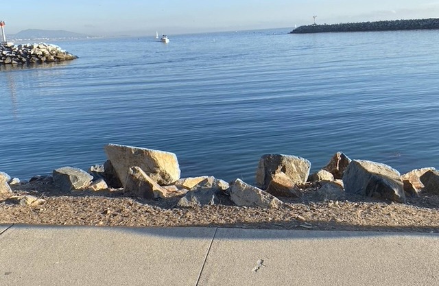 Fully Remodeled Dana Point Condo - Walking Distance to Doheny Beach