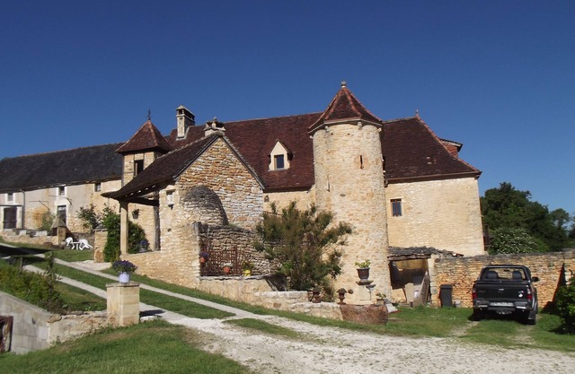 Gîte du haut or Orchidée