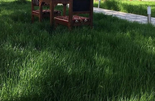 Göbeklitepe Bahce Saray