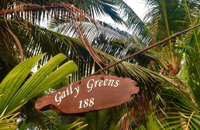 Gaily Greens