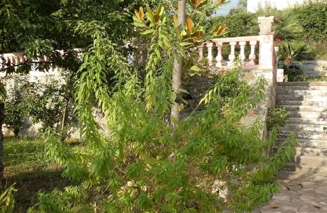 Garden apartment in villa, in the countryside, near Nice