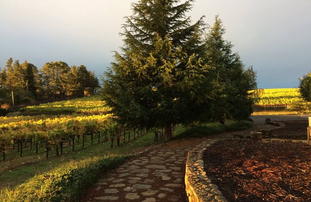 Finca cerrada en el país del vino en medio de cientos de acres de viñedos