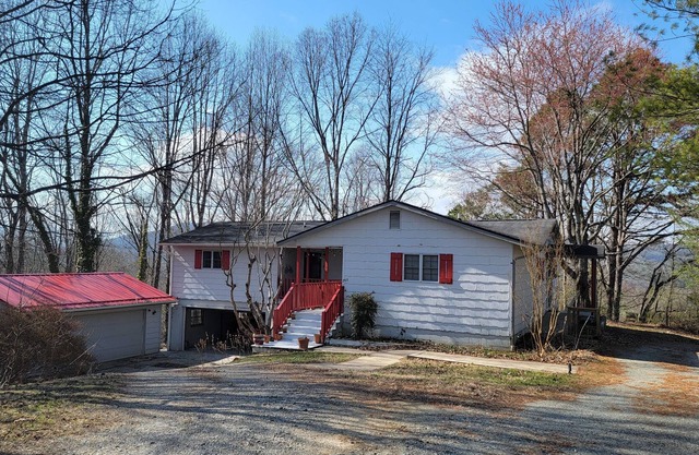 Gear, dogs, outdoors