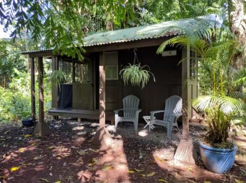 Gecko Hideaway Jungle Getaway