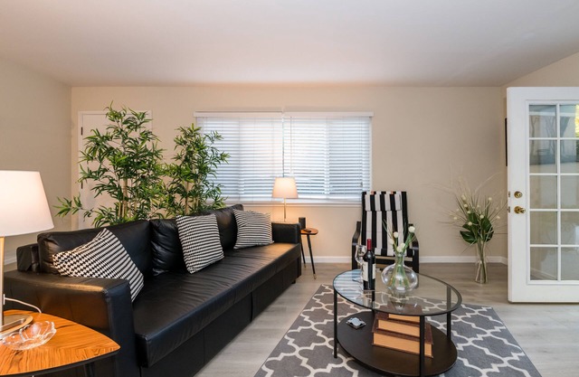 "Gem “ in Downtown Palo Alto Stanford