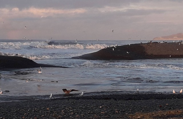 Get Away - Te Awanga apartment