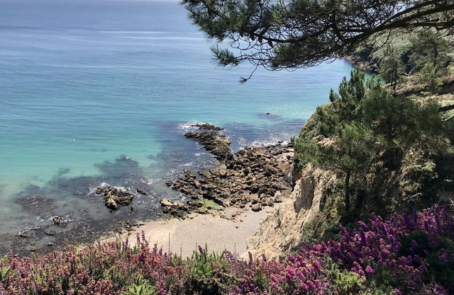 GITE BIHAN 4 pers avec piscine couverte /chauffée, pétanque (pets welcome)