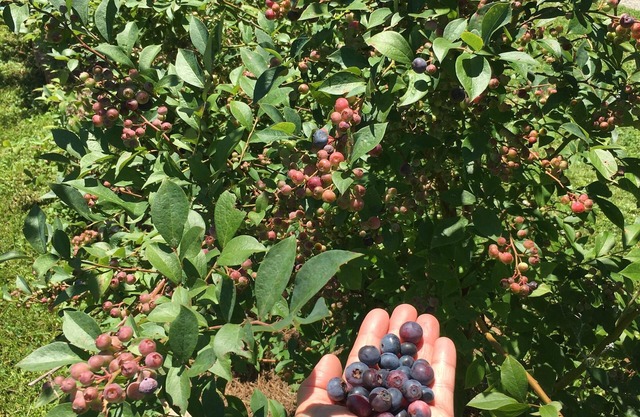 "Glamping" Mejor zona en las montañas