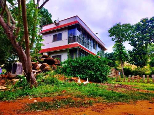 Glass House Yelagiri