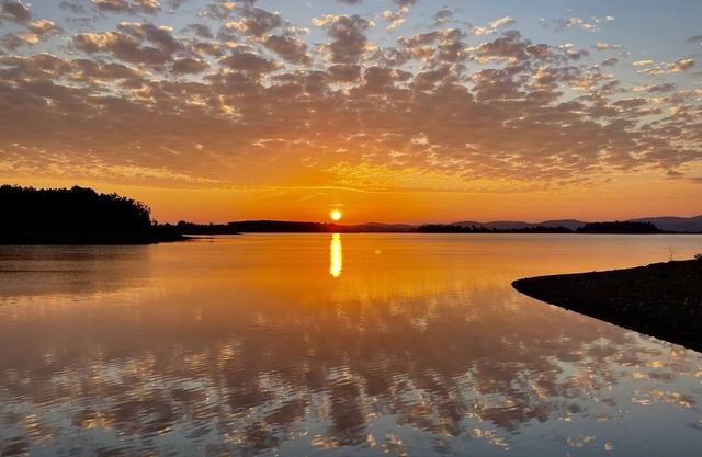 Golf Course Luxury King Apartment