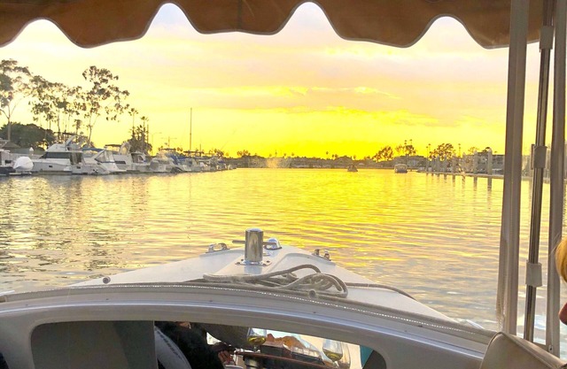 Gorgeous Exec Home - Don't miss it. Pristine, Tranquil, AC, parking, dog ok!