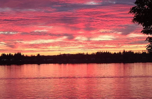 Gorgeous Four Story Direct Low Bank Beach House in Olympia, WA with Seals