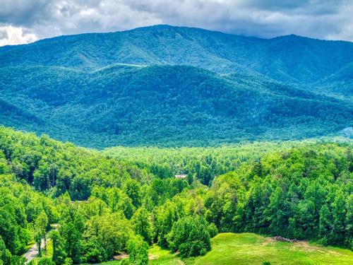 Grants Cottage, Pickleball Court, Creek, WIFI, Mountain Views, Starting at 79"