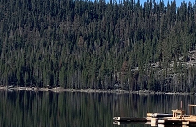 Great cabin walking distance to Huntington Lake