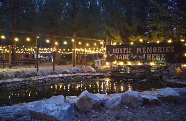 Grey Squirrel Resort