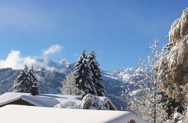 Gstaad - Piso de lujo en Schönried con excelentes vistas