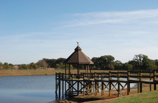 casa de huéspedes en el rancho de 100 acres en el país, pero minutos de Nashville, TN