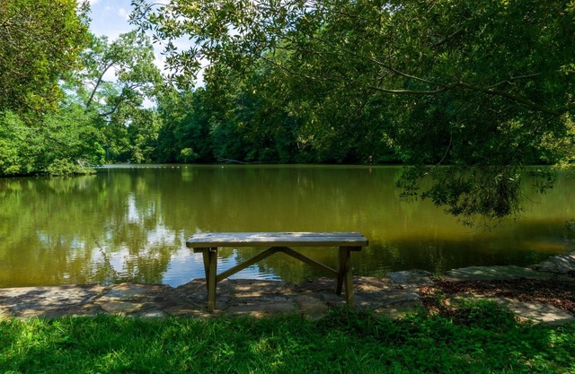 LAKEFRONT-'BED y BAMA '- ocasiones especiales, noche de chicas, EVENTOS DEPORTIVOS !!!