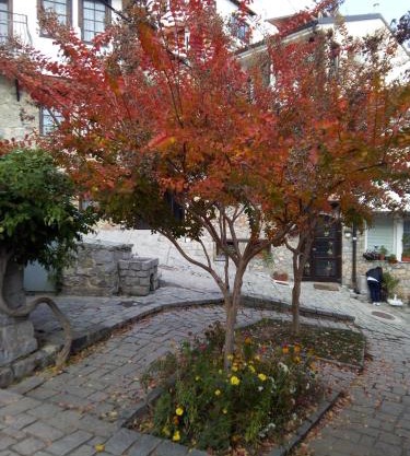 Guest Room at Number Nine