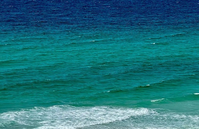 5 estrellas ⭐️ Gulf Front noveno piso ‘Cambios en la altitud’ Gulf Front Condo 2/2