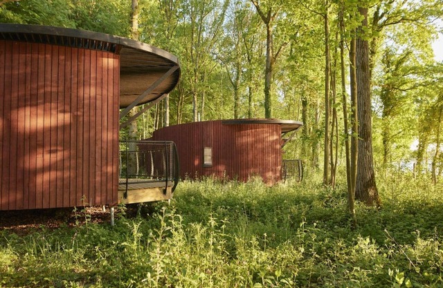 Retiro del bosque de Hainaut