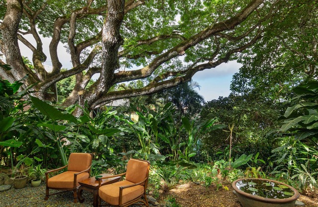 Hale Ulula'au: un refugio forestal tranquilo
