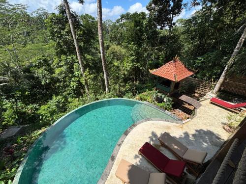 Harmony Hill - Vegan Boutique Villa
