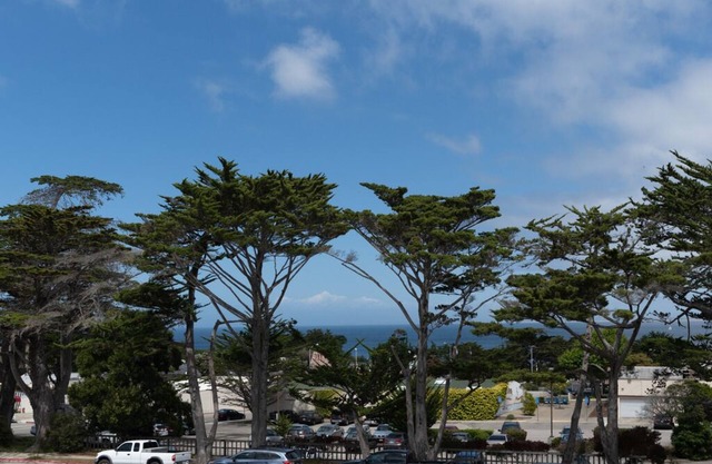 Hawthorne 901A - Monterey Condo - A pie de playa y acuario