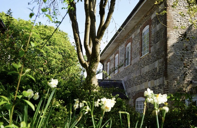 Hayden House - Dorset Georgian Farmhouse- Sleeps 11