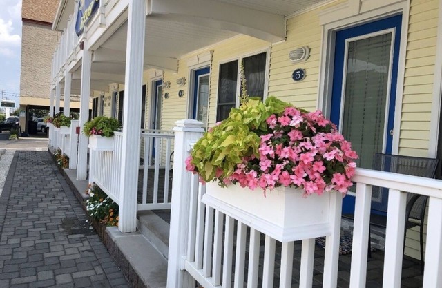 Heaven in Beach Haven, Beach Block, Pearl St, 2-4 Night Rental